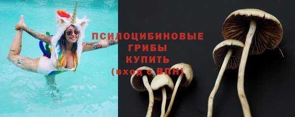 меф Нягань