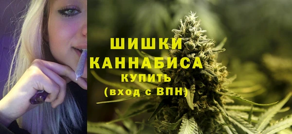 экстази Няндома
