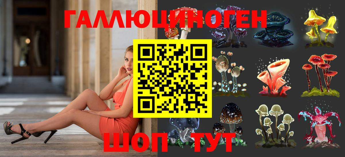 Псилоцибиновые грибы MAGIC MUSHROOMS  закладка  Удомля 